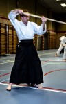 Aikido Ieper Middelkerke